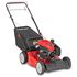 TB200C Self-Propelled Lawn Mower