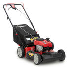 TB210B Self-Propelled Lawn Mower